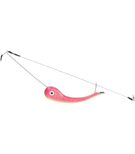 Amazon | ダイワ(DAIWA) 船竿 アナリスターアマダイ 195 釣り竿